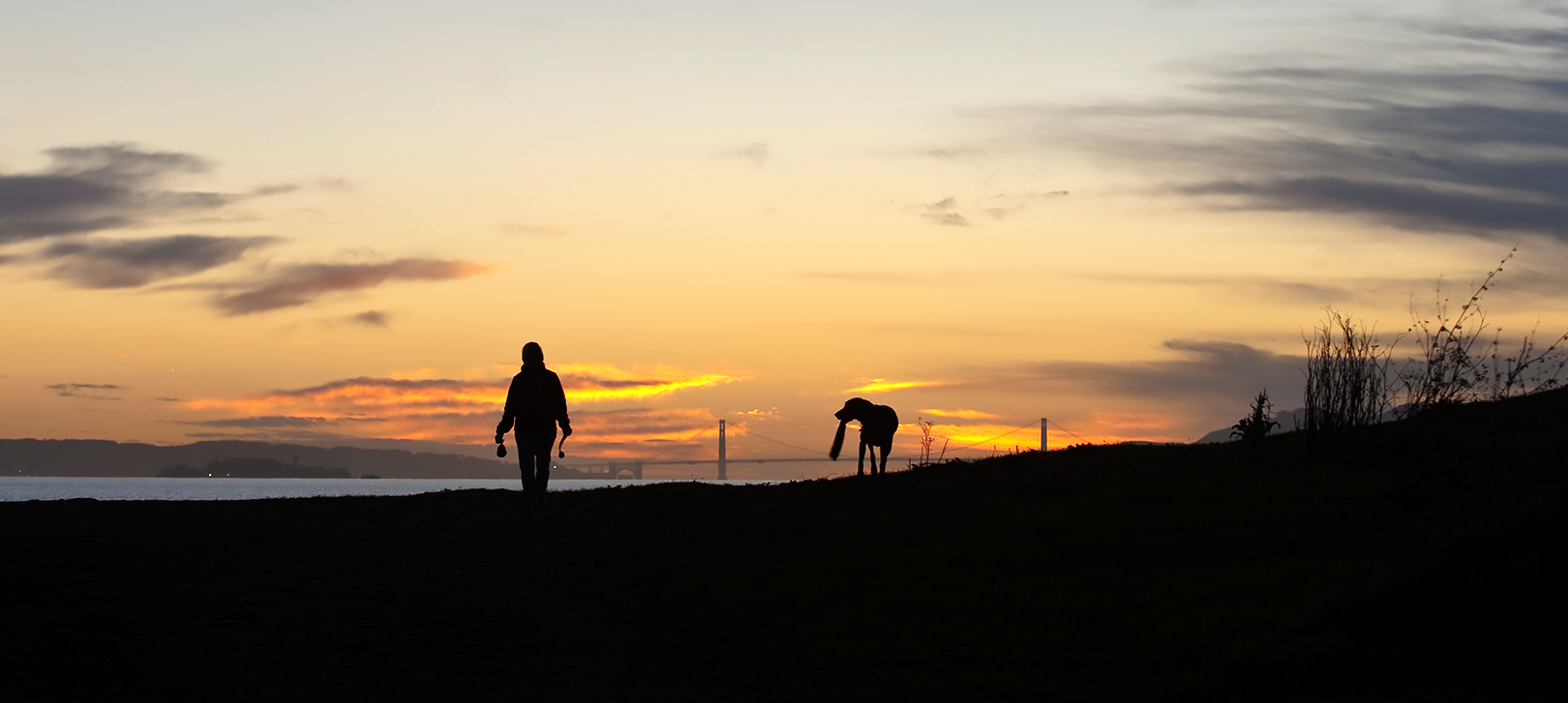 Albany Beach person walking dog