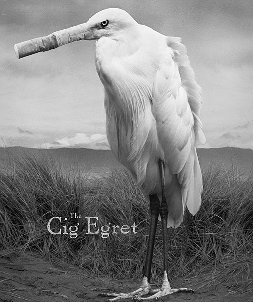 Egret_CleanupAd