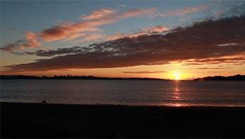 Albany Bulb & Waterfront