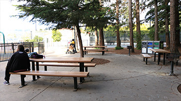 Ocean View Park Cedar Picnic Area