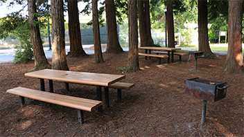 Ocean View Park Spruce Picnic Area