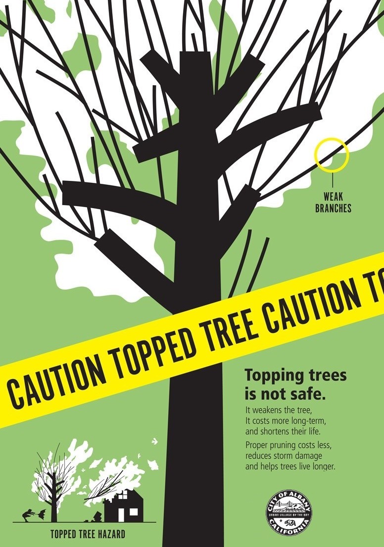 caution topped tree