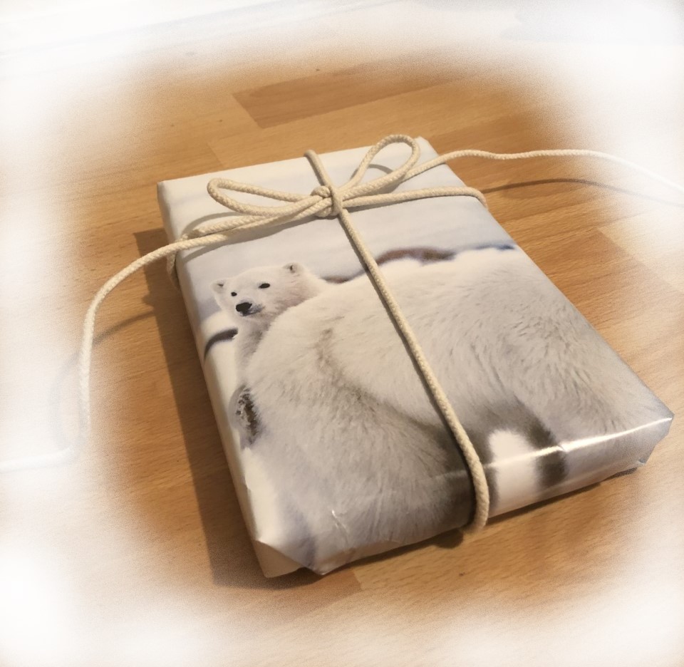 Polar Bear Holiday Gift