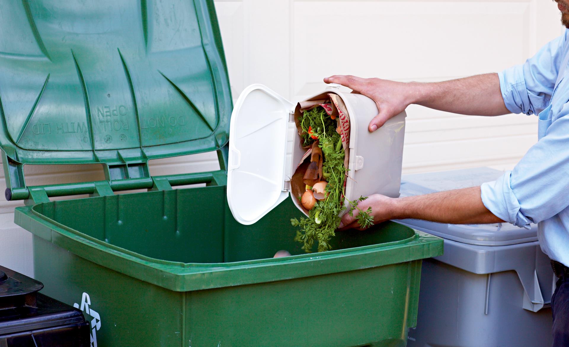 Food scraps into green cart