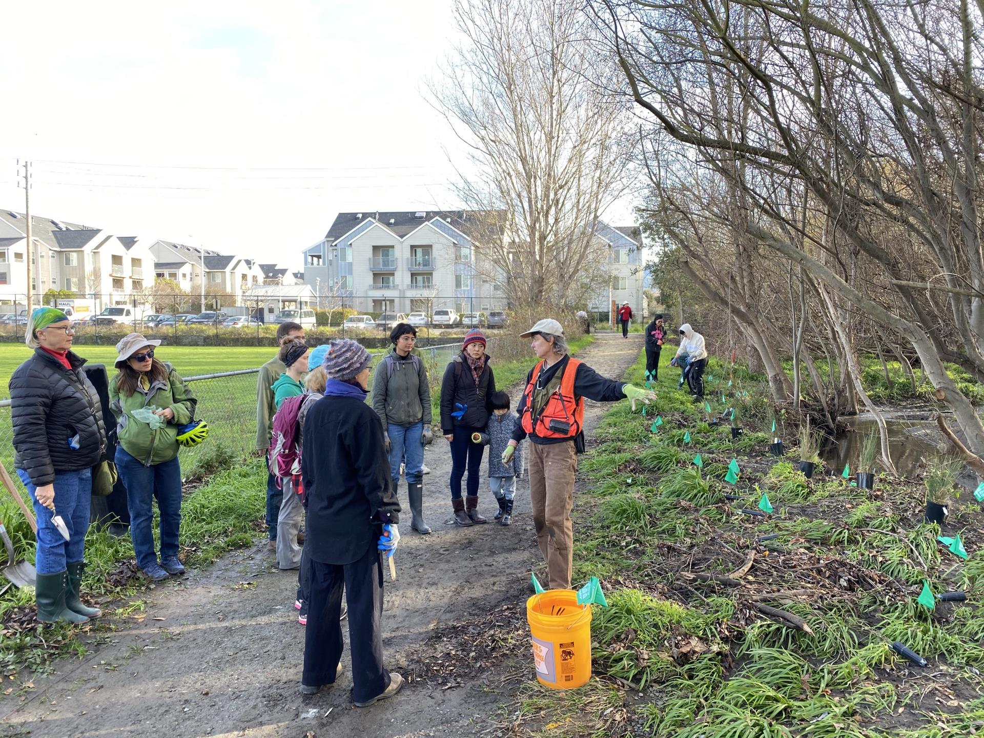 Codornices Creek Volunteer Day_2020-01